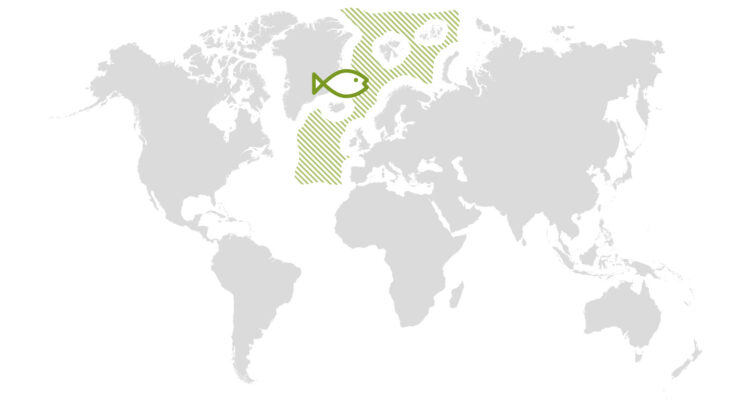 Halibut_Plus_Fischfangmap_23