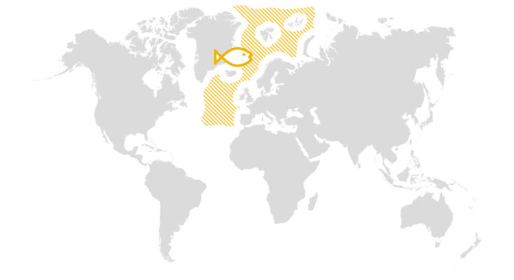 Halibut_classic_Fischfangmap_23